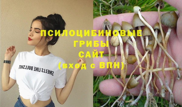 прущий лед Белоозёрский