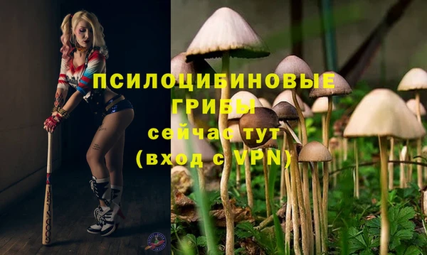 прущий лед Белоозёрский